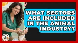 What Sectors Are Included in the Animal Industry? - Animal Care Jobs