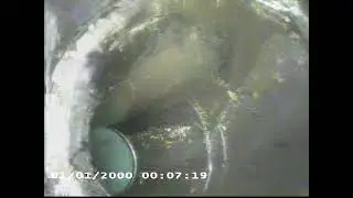 00000026