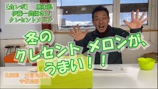 熊本県・伊藤一農園さん【クレセント】メロンのおいしさ！：北海道 富良野 メロン農家の寺坂農園