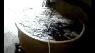 inner tube explosion