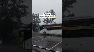 bus sinar jaya suites class ✨️ #posinarjaya #suitesclass #sleeperbus #busmania #shorts #fyp