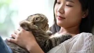 Galactic Meow | Surreal Cosmic Cat Pop Ballad (AI Music Video)
