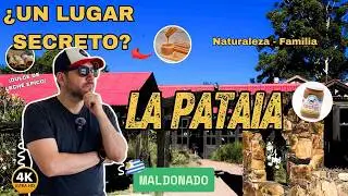 La Pataia: el rincón secreto del dulce de leche y la naturaleza en Punta del Este