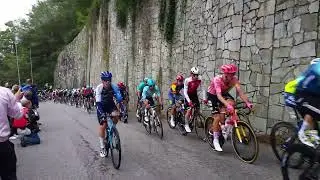 Coppa Bernocchi 2024 piccolo Stelvio