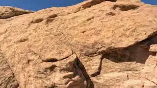 El Malpaís National Monument: New Mexico’s Hidden Lava Landscape
