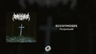 Perpetualll - ECCHYMOSES