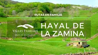 Qué ver en Cantabria 🎬 Un paisaje de película en el Miera ¡Hayal de La Zamina! 🌳 Valles Pasiegos