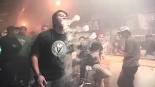 Hydra 2 year