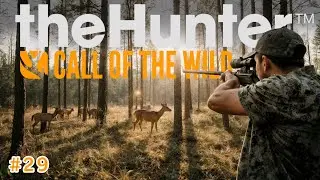 Охота на различных животных в Revontulii | Бесплатная охота | TheHunter: Call Of The Wild