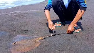 Rangkaian mancing ikan pari di pantai