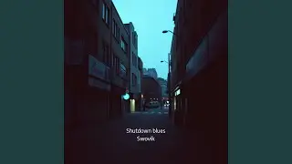 Shutdown blues
