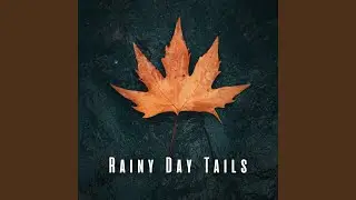 Calming Pet Rainfall Harmony