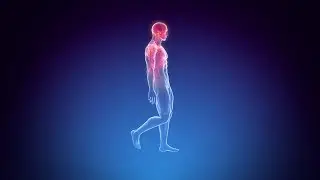 FULL RESTORE: BODY MIND SPIRIT HEALING 10'000Hz Brain Healing Massage 9 HOUR SLEEP MEDITATION MUSIC