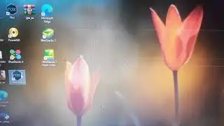 How To Enable Virtualization | Nox Player VT is Disable |