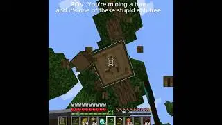 POV #trending #minecraft #1000subs