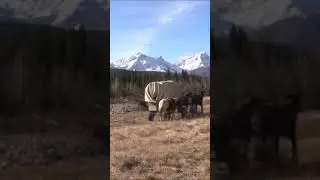 Taking A Covered Wagon Into The Mountains! 🗻