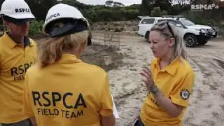 RSPCA volunteers feed hungry animals on Kangaroo Island