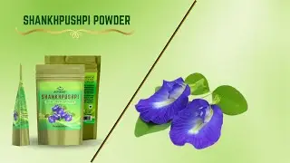 Boost Brain Power Naturally | ACTIZEET Shankhpushpi Powder Benefits