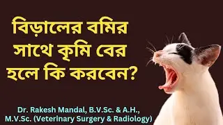 বিড়ালের বমির সাথে কৃমি বের হলে কি কি মেডিসিন খাওয়াবেন? #worm_in_cat_vomit