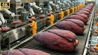 Inside a High-Tech Banana Blossom Factory | From Farm to Perfect Slices (Full Process)