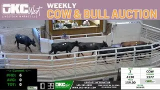 9/29/2025 - Cow & Bull Auction - OKC West