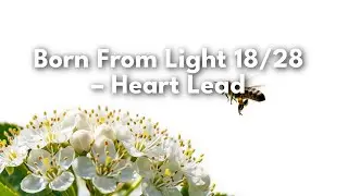 Born From Light 18/28 &ndash; Heart Lead