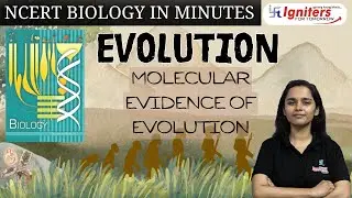 Molecular Evidence of Evolution | Evolution |NCERTBiology in Minutes|Class12&NEET