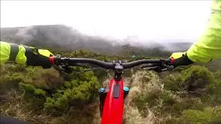Specialized turbo levo 2019