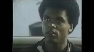 Scared Straight 