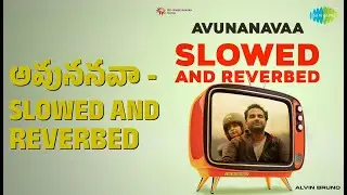 అవుననవా - Slowed And Reverbed | Avunanavaa - Slowed And Reverbed | Alvin Bruno