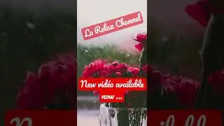 Rain and light thunder sounds somewhere in France #rain #relaxing #stressrelief #asmr #rainsounds
