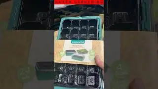 Aldi Garden Line Seed Trays are a STEAL for Gardeners