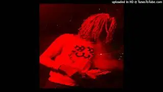 bleood rascal 51 yrsci type beat - pony