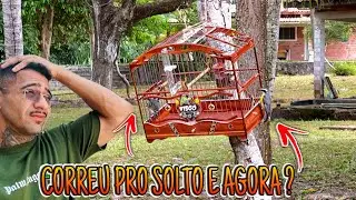 🔥 MEU SIBITE CORREU PRA OUTRO E AGORA O QUE FAZER! 😳 ( sibites e cia )