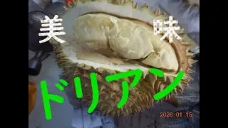 世界ホームレス紀行 527 タイランド静養中