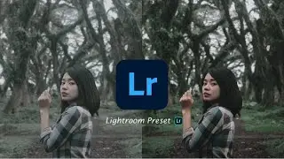 Lightroom photo editing lightroom preset