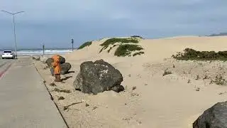 Morning Stroll in Grover Beach