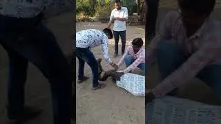 DANGER KHILADI MONU VYAS BASSI