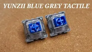YUNZII Blue Grey Tactile | 딥 로우 택타일 스위치