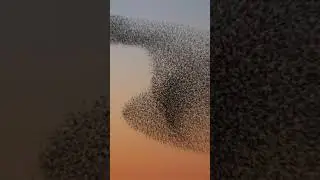 The 10 most amazing natural phenomena in the world part 3.