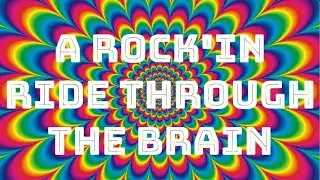Ap psychology project brain song (Shreya, Andrea, Rooke)