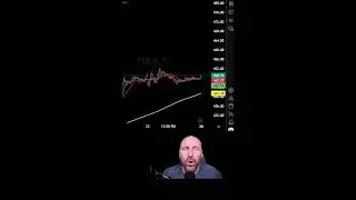 Voss Trading Education
