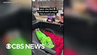 Duolingo announces 