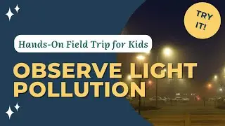 Light Pollution Field Trip: Observing Constellations & Night Sky