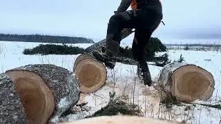 Stihl MS 231 porditud #portedchainsaw #ported