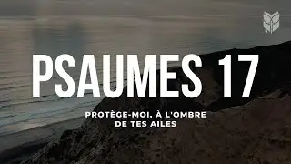 Psaumes 17. Prot&egrave;ge-moi, &agrave; l'ombre de tes ailes. Louis Segond #BibleVision