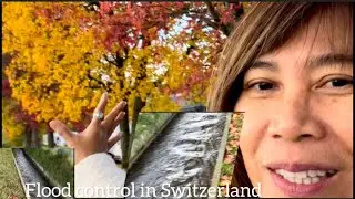 Effective flood control,  no corruption in Switzerland in Autumn colors