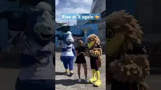 Blue at it again 🥧🐴 #nfl #colts #indianapoliscolts #blue #mascot #pietotheface