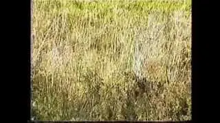 Ghillieworks 01 Camouflage Bushrag