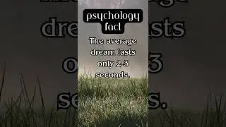 Insightful Glimpses: Dream Duration #psychologyfacts #relationshipinsights